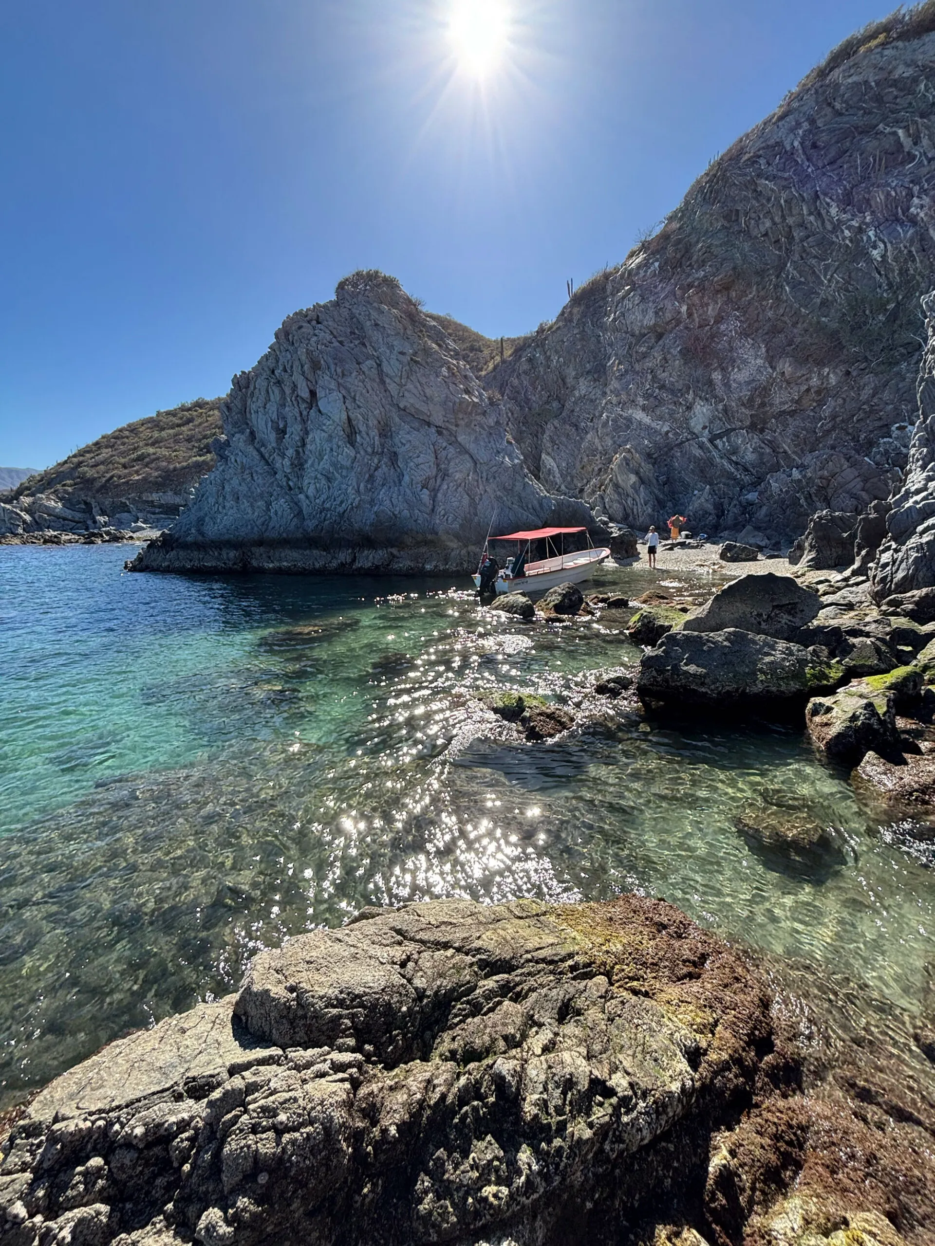 Panga Charter, Sea of Cortez
