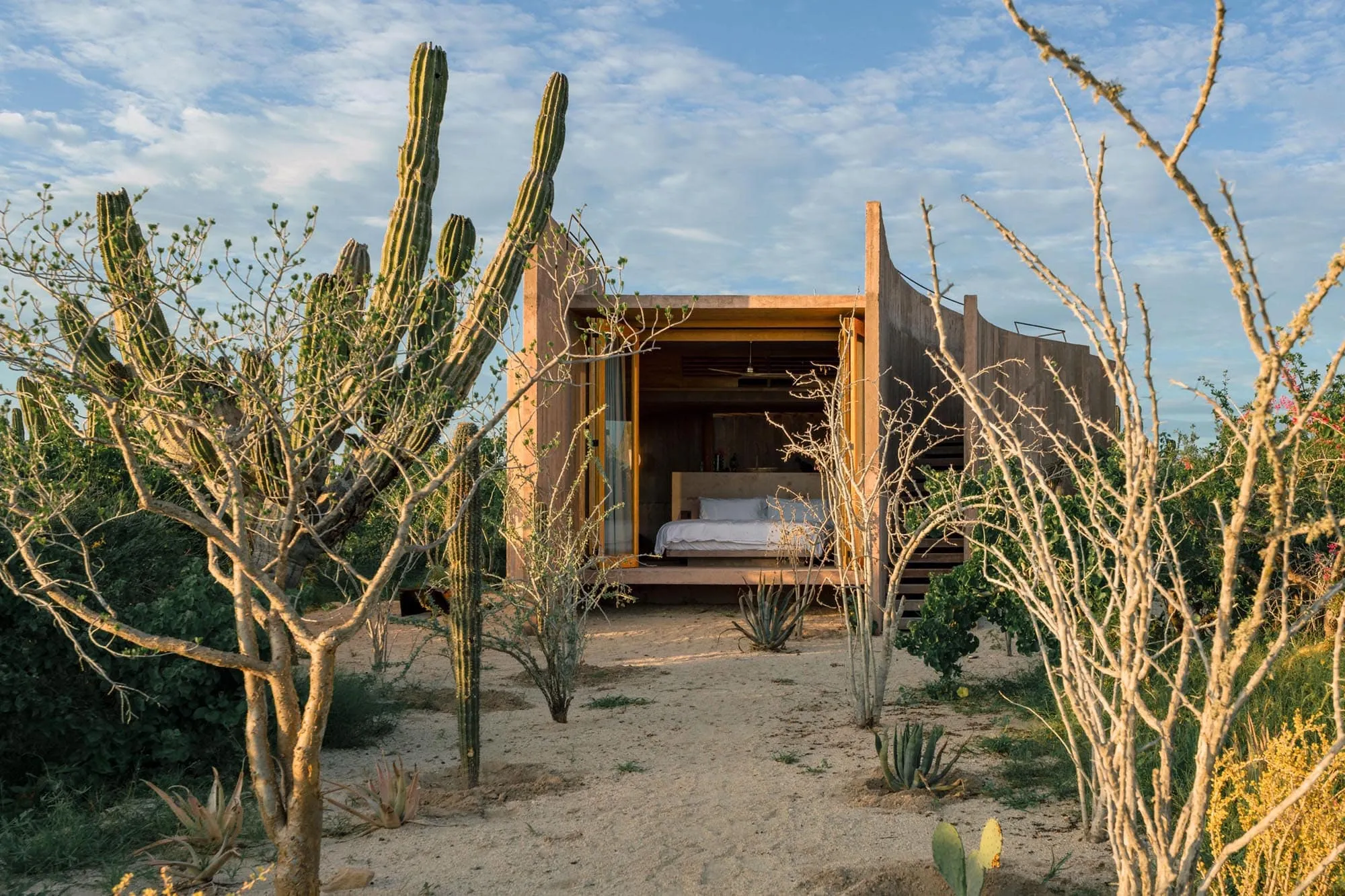 A concrete bungalow suite standing open to the desert, its bed visible between cardón cactus and ocotillo